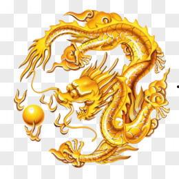 爆料五爪金龙视频大全最新,最新视频大全带你领略神秘国宝风采 第3张 爆料五爪金龙视频大全最新,最新视频大全带你领略神秘国宝风采 第3张